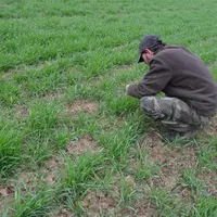 Dans les sols légers de la Limagne Sud, l'eau manque déjà alors que l'hiver vient à peine de se terminer.