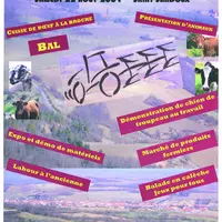 Bonne chance à tous les concurrents, et une très bonne journée à tous les visiteurs.