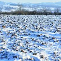 La vague de froid s’est installée sur le Puy-de-Dôme, comme sur l’ensemble de la France, jusqu’au début de la semaine prochaine.