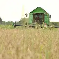 La campagne de récolte 2014 a été complexe pour les EDT en raison de la pluie incessante