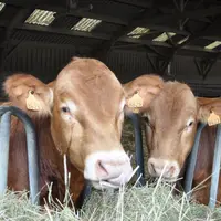 La Région Auvergne Rhône Alpes accorde une aide exceptionnelle aux éleveurs touchés par la sécheresse 2018 ayant réalisé des investissements agricole.