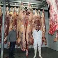 L’abattoir d’Ambert
permet à Philippe Fougerouse (à gauche) co-gérant et artisan boucher de maintenir son activité et de choisir des animaux d’except