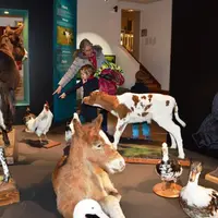 Exposition sur la domestication des animaux par les hommes, au musée Lecoq.