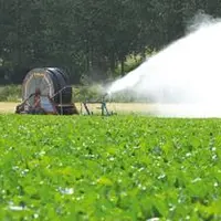 L’irrigation des betteraves sucrières a débuté fin juin et celle sur les maïs a commencé il y a une semaine.