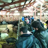 Au Gaec La Ferme des Sonnailles.