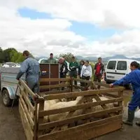 Les élèves vous donnent rendez-vous pour la finale régionale, vendredi 5 octobre, de 10 h à 16 h, au Sommet de l’élevage, plateforme extérieure du hal