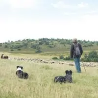 À l’estive de La Jacine, le tapis d’herbe étouffant d’ordinaire les pas des rares visiteurs se réduit comme peau de chagrin.
