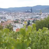 Les professionnels de la viticulture du Puy-de-Dôme travaillent main dans la main à l’organisation du premier salon international des vins volcaniques