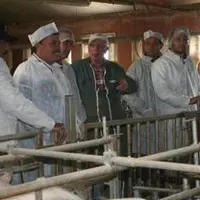 Les éleveurs réunionnais ont notamment échangé avec M. et Mme Guy sur la mise aux normes de leur atelier.