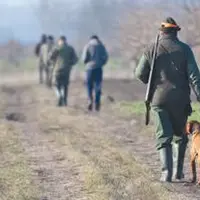 La saison de chasse s’ouvre sur de nombreuses nouveautés à commencer par la réduction du tarif du permis de chasser.