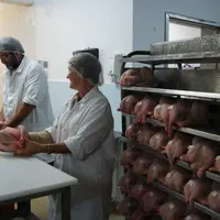 Les éleveurs-abatteurs de l’association d’Abattage de volailles de fermes d’Auvergne terminent une année 2018 sur une stabilité des volumes.