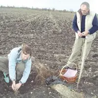 Démonstration de plantation.