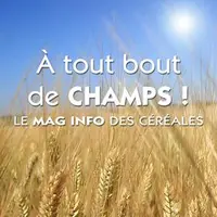 A tout bout de champs ! Le mag info des céréales