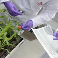 Limagrain veut faire évoluer le système de réglementation européen pour l’adapter aux nouvelles techniques de sélection végétale.