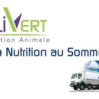 Alivert