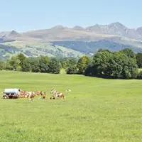 La FRSEA Massif central milite pour un soutien renforcé aux zones défavorisées et de montagne.