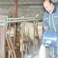 Nicolas Perret est agriculteur en polyculture-élevage à Brugeas dans l’Allier.