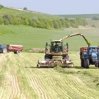 Le printemps 2014 est pauvre en herbe du fait du manque d’eau et des températures au dessus des normales durant le mois d’avril. Les éleveurs doivent