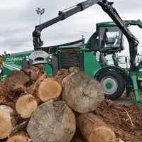 Monstres des forêts.
