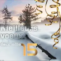 Bonne année 2015 !