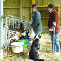 Le Service de Remplacement met à la disposition de l’agriculteur un salarié pour assurer le travail en cas de coup dur.