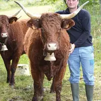 Frédéric Chabrillat, 
co-président du syndicat Salers du Puy-de-Dôme et éleveur à Mazoires présentera quatre de ses animaux au National.