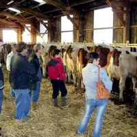 Les éleveurs du groupe lait du Vernet-la-Varenne, visualisent l’effet vêlage 2 ans, demandent nombre d'explications à Patrice Faucher de Sauxillanges.