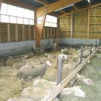 Pour plus d’informations, contacter la Fdo du Puy-de-Dôme au 04.73.44.46.90.