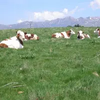 L’inquiétude majeure ressentie par  les agriculteurs : ils ne sont pas informés par les instigateurs de projet.