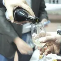 Trois nouvelles cuvées de vin blanc viennent d’être officiellement lancées à la cave Saint-Verny.