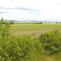«Les arbres sont un capital qui peut rassurer des financeurs» explique Stéphane Hekimian de la Mission Haies Auvergne.