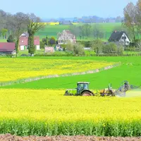 Pour un colza déjà emblavé, la FNSEA a obtenu que la réglementation ne s’applique qu’au 1er juillet 2020 pour les cultures d’automne.