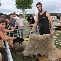 Ovinpiades mondiales 2014