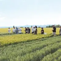 Sur les plateformes d’essais d’Arvalis, les conditions climatiques n’ont pas joué en la faveur des expérimentations.