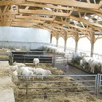 Depuis sa mise en place en 2005, le plan de modernisation des bâtiments d’élevage a accéléré les projets.
