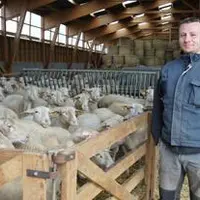 Alexandre Bernardo a conçu sa bergerie et organisé son élevage de façon à travailler le plus efficacement possible.