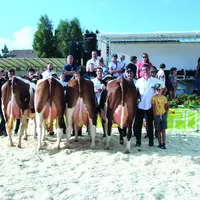 Concours bovins Vallée de l'Ance
