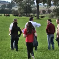 Visite d'une exploitation pour les délégations internationales dans le cadre du Sommet de l'élevage 2013.