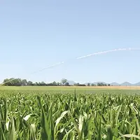 L'irrigation des cultures est soumise à l'application de tours d'eau dans certains secteurs tels que l'Eau-Mère et l'Ambène.