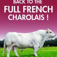La bannière «Full French Charolais» est le support de commercialisation mis en place par SERSIA France