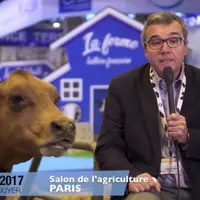 Conjoncture laitière