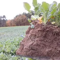 Les deux CETA puydômois font avancer l’agronomie dans le territoire mais peinent à transmettre cette volonté à la jeune génération