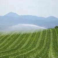 L’irrigation dans le Puy-de-Dôme conditionne l’équilibre voire le maintien de bon nombre d’exploitations agricoles.
