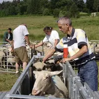 Une contention bien organisée pour une vaccination réussie