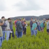 Gaec Moissaing Moranne à Chameane : la conduite en bio a intéressé grand nombre d'agriculteurs.