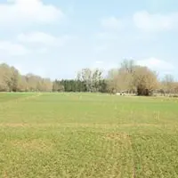 L’essai céréales en cours à Arlanc.