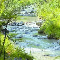 La situation hydrologique inquiète déjà dans le département, en effet peu de pluie, un hiver anormalement doux ainsi les nappes phréatiques n'ont pu s