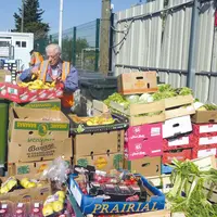 Deux hommes trient des piles de cartons remplis de fruits et légumes.
