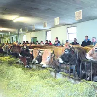 Visite d’exploitation l’après-midi du 6 mars à l'occasion de l'assemblée générale.