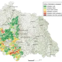 Carte de surveillance du campagnol dans le Puy-de-Dôme
